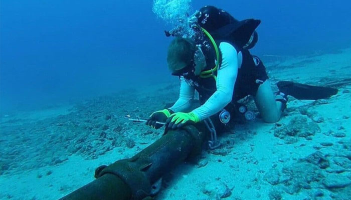 Pakistan Telecommunication Company Limited