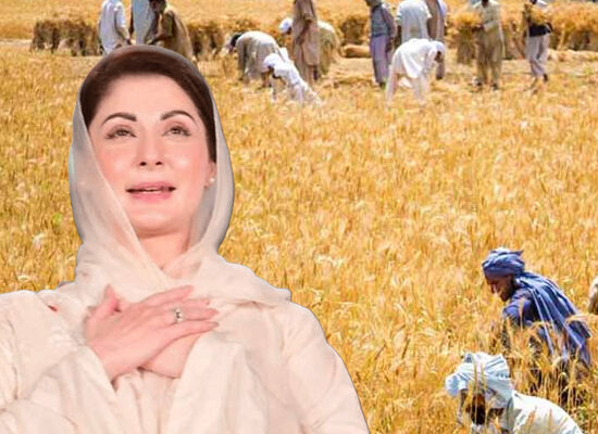 Punjab wheat farmers support