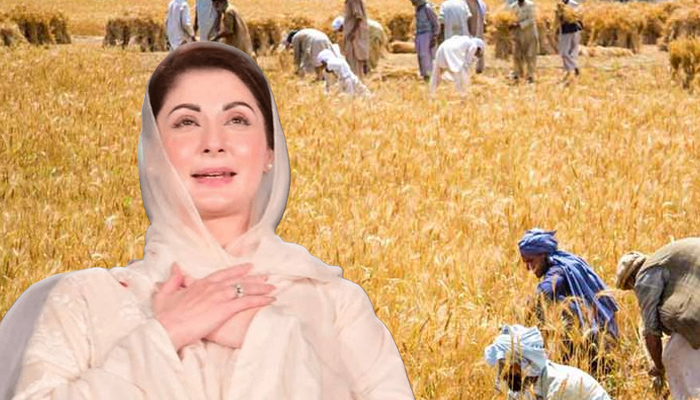 پنجاب حکومت کا کسانوں کیلئے 6 ارب روپے کے باردانے کا اعلان