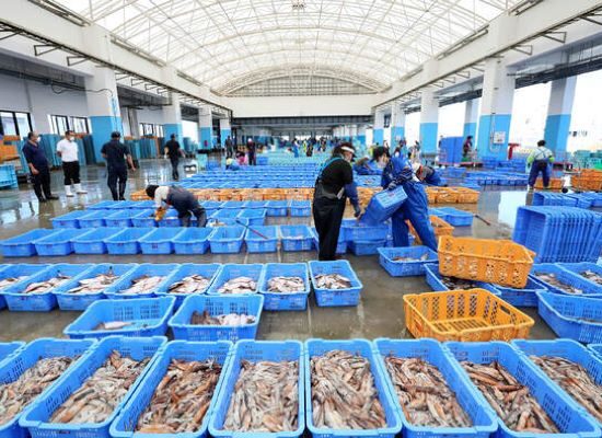 Pakistan seafood exports