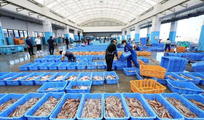 Pakistan seafood exports