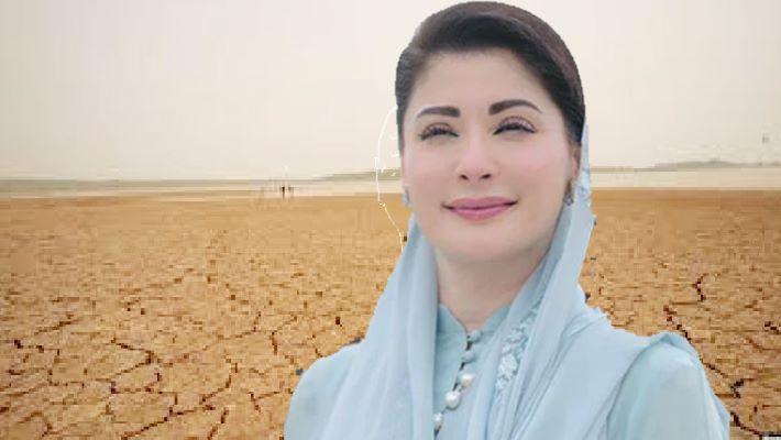 Punjab Shrimp Farming Project Turns Barren Land into Economic Zones