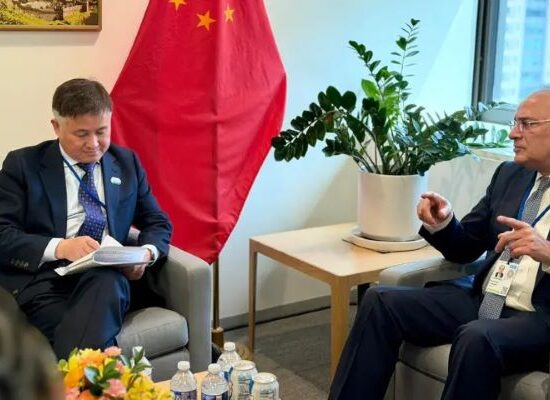 Pakistan China economic meeting