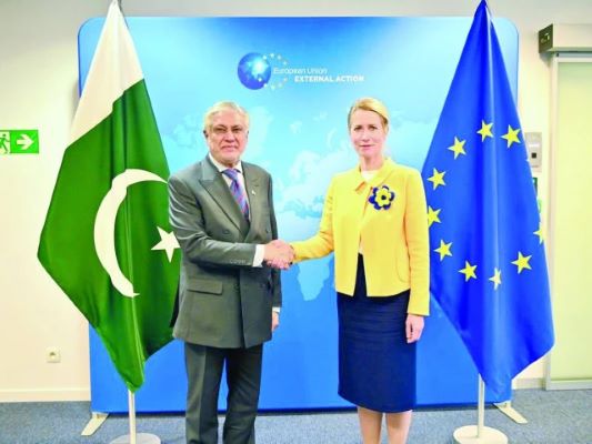 EU Praises Pakistan Role in Regional Peace During Dar Call