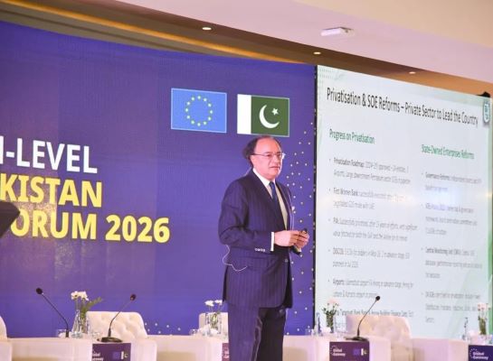 پاکستان میں 250 ملین ڈالر پانڈا بانڈ جلد جاری ہونے کا امکان: اورنگزیب