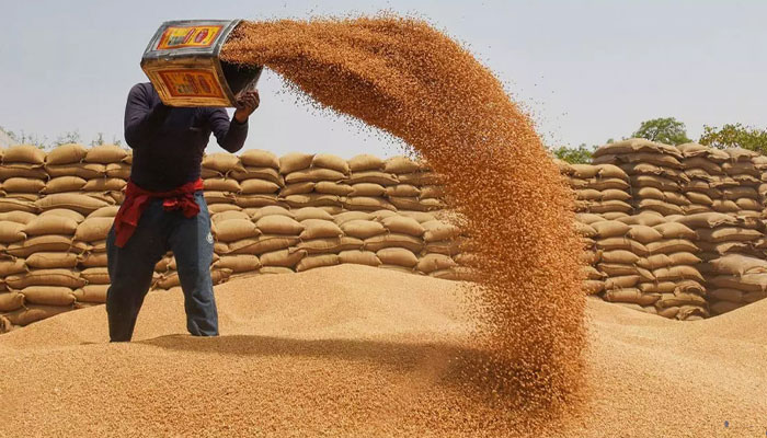 flour prices in Khyber Pakhtunkhwa