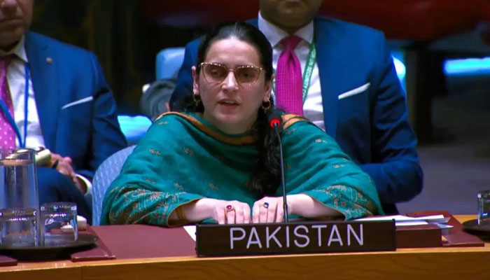 Pakistan Accuses India of Exporting Terrorism at UN Security Council