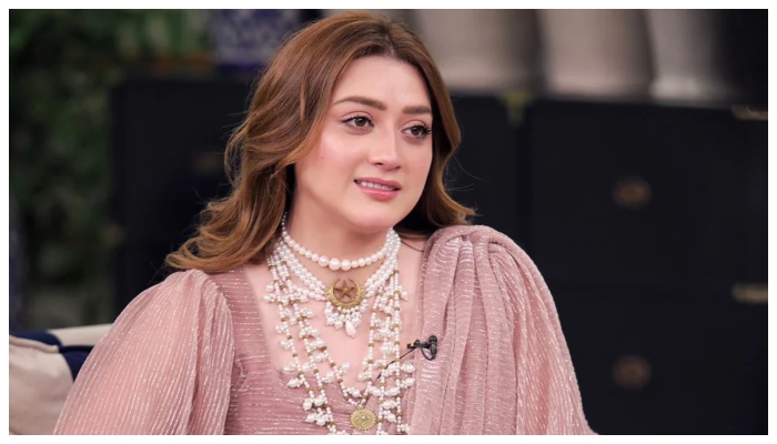 Momina Iqbal harassment case