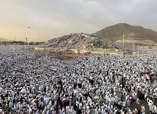 حج کا رکنِ اعظم وقوفِ عرفہ