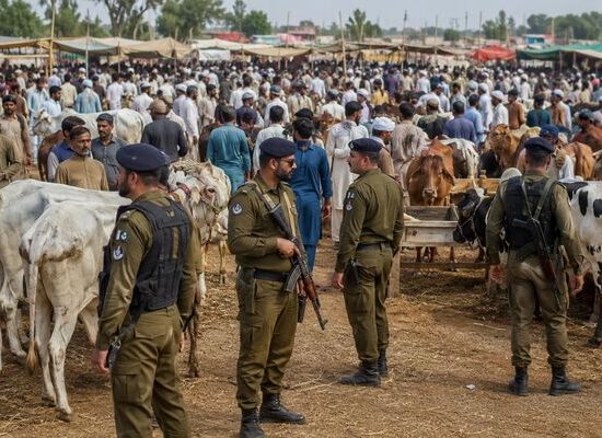 Gujranwala cattle market security