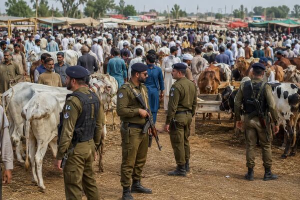 Gujranwala cattle market security