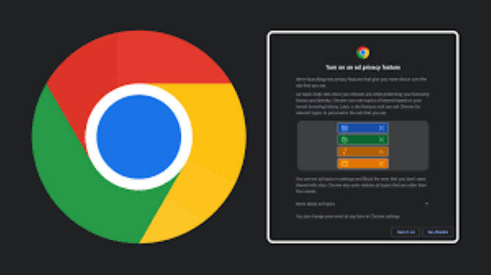 Google Chrome Privacy Feature