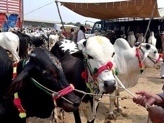 K-P Announces Four-Day Public Holidays for Eidul Azha 2026