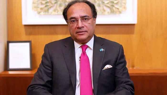 وزیر خزانہ محمد اورنگزیب