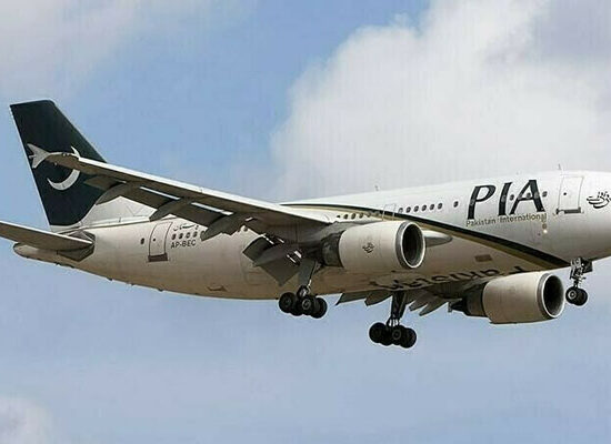 National Airline Privatization