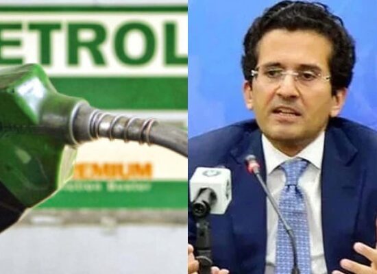 Federal Petroleum Minister Ali Pervaiz Malik