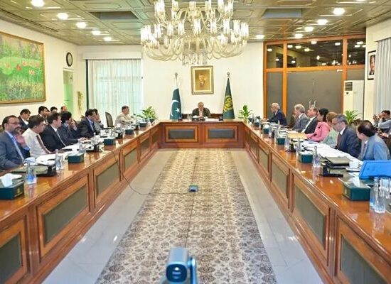 کفایت شعاری اقدامات پاکستان