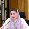 محرم سیکیورٹی پنجاب