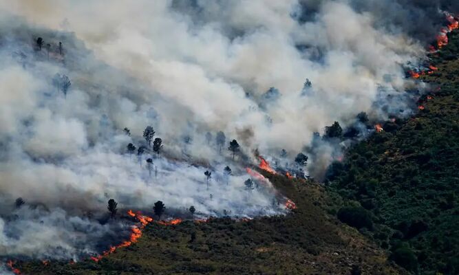 Spain declares emergency over wildfires