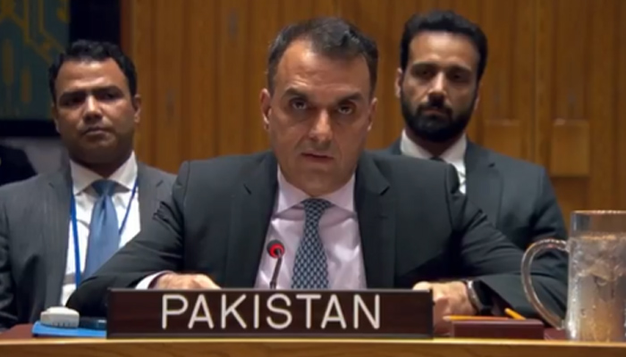 پاکستان نے سعودی عرب پر حوثیوں کے میزائل حملوں کی مذمت، سلامتی کے لیے مکمل حمایت کا اعادہ