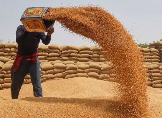 tons of wheat import
