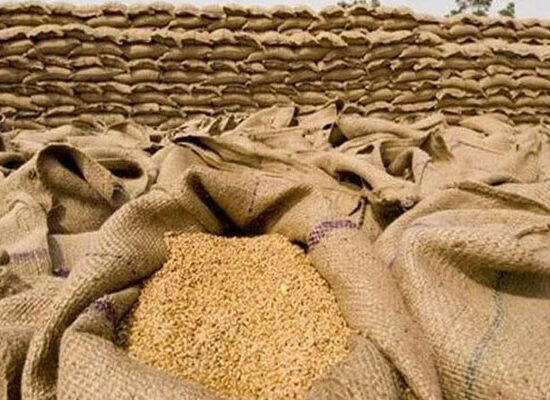 گندم کی قیمت