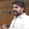 ناصر حسین شاہ