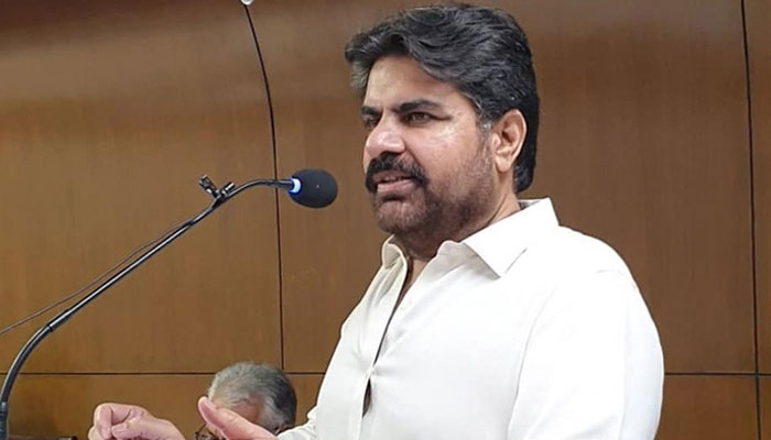 ناصر حسین شاہ
