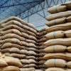 Punjab 4.5 million tons wheat missing