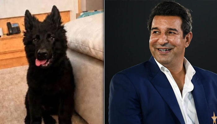 Wasim Akram’s Missing Pet Dog Duke Found, Former Captain Thanks Supporters