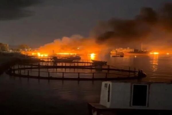 Iran Reports 14 Dead After U.S. Strikes