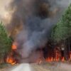 France wildfires 2026