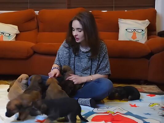 Juggun Kazim animal care