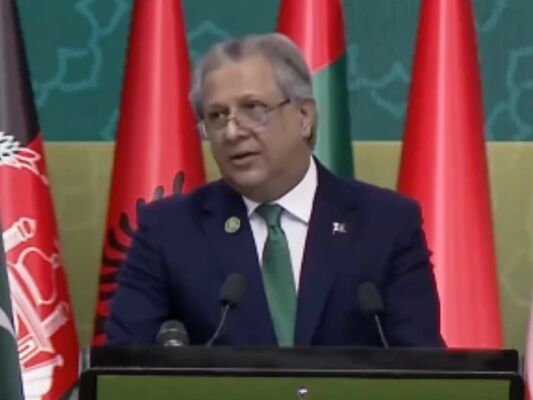 او آئی سی کانفرنس: اعظم نذیر تارڑ کا خواتین کے لیے مساوی ڈیجیٹل مواقع پر زور
