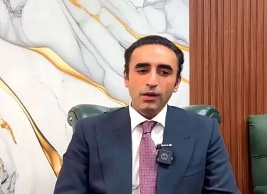 Bilawal Bhutto parliamentary committees