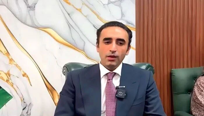 Bilawal Bhutto parliamentary committees