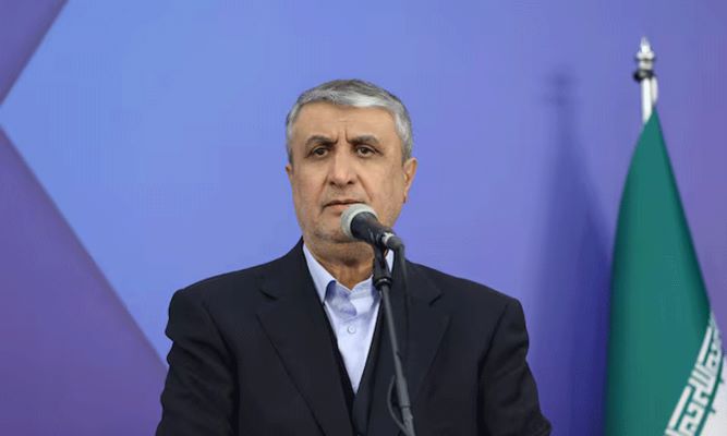 Iran Nuclear Chief Blocked From Vienna Meeting by US