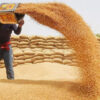 Balochistan wheat crisis