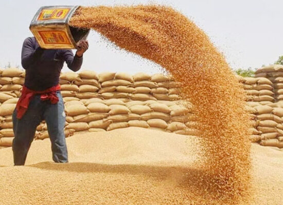 Balochistan wheat crisis