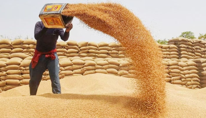 Balochistan wheat crisis