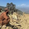 Pakistan airstrikes in Afghanistan